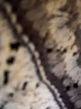 lucy-joy live sex cam