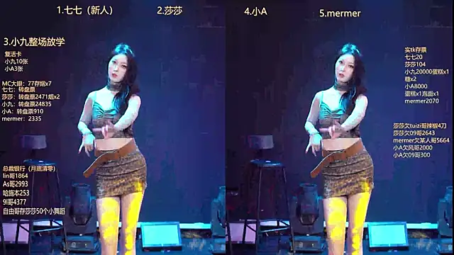 SK010's cam snapshot