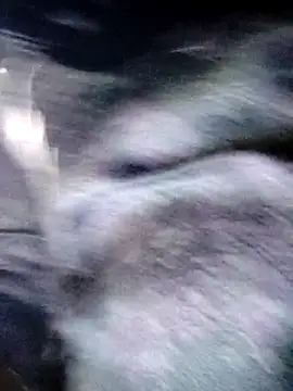 Hot_malika1's cam snapshot