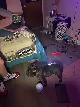 Jennysbakery's cam snapshot