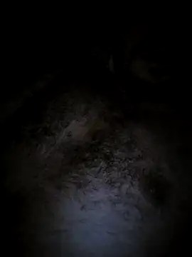 Hamoo19's cam snapshot