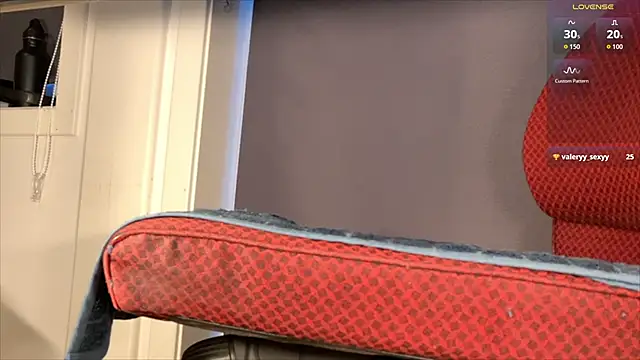 brsrkr's cam snapshot