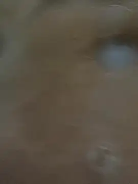 leiteiro2002 live sex cam