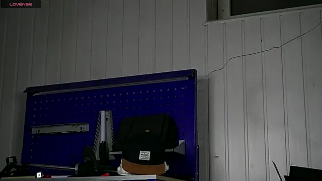 dustyn_fox live sex cam