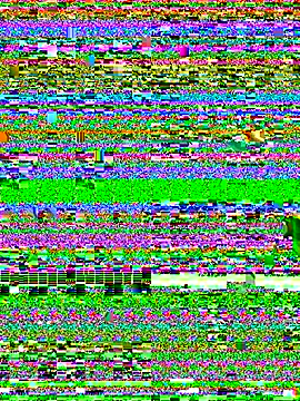 Smith_Fitness's cam snapshot