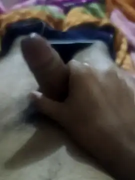 snadycam's cam snapshot