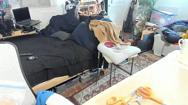 Dark_Asteroid's cam snapshot