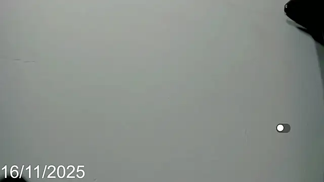 daniela_acosta live sex cam