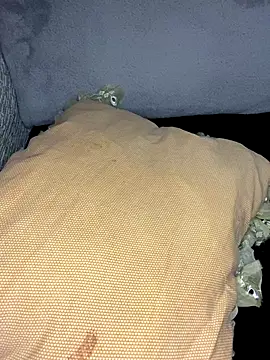 Narinmeleyin's cam snapshot