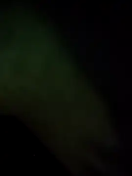 shailsexy2's cam snapshot