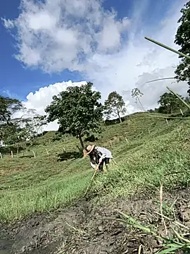 Ixchel_Anaid's cam snapshot