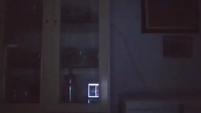 llopaco's cam snapshot