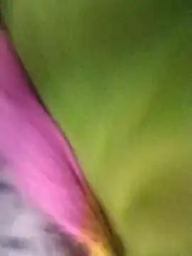 Jyoti_Roy1's cam snapshot