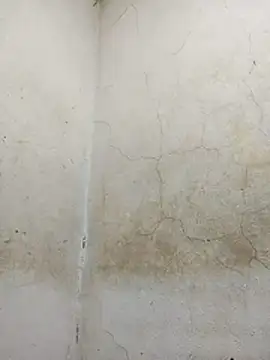 wet_babexxx's cam snapshot