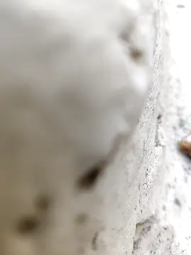 Co_punam's cam snapshot