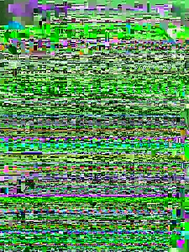 Zlienr023's cam snapshot