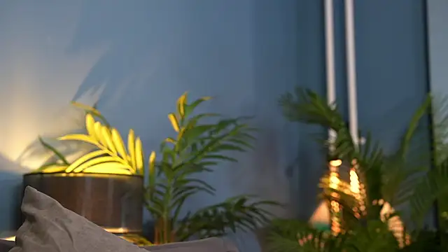 _keeti_'s cam snapshot