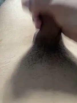 polla20 live sex cam