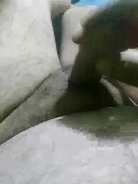 Morbosnif's cam snapshot