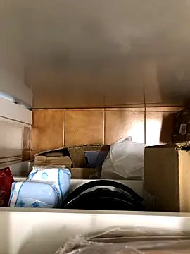 Mindnorthcam2 live sex cam