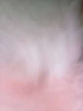 Melylyna's cam snapshot