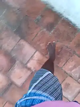 dolphiinn's cam snapshot