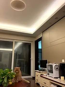 smgirls's cam snapshot