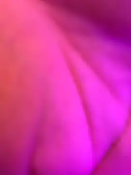 alexa_bluee's cam snapshot