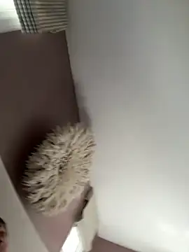 longcurved212121's cam snapshot