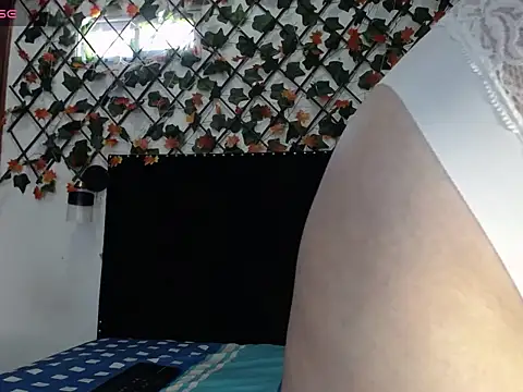 vhannaper's cam snapshot