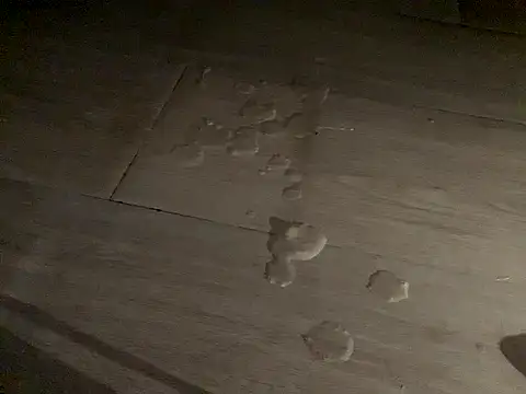 SalesmanAlan's cam snapshot