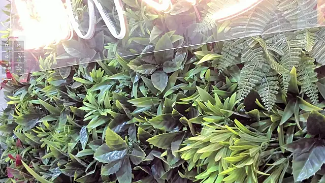 Gia_ricci_'s cam snapshot