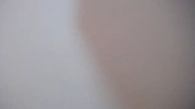 NovaNight_ live sex cam