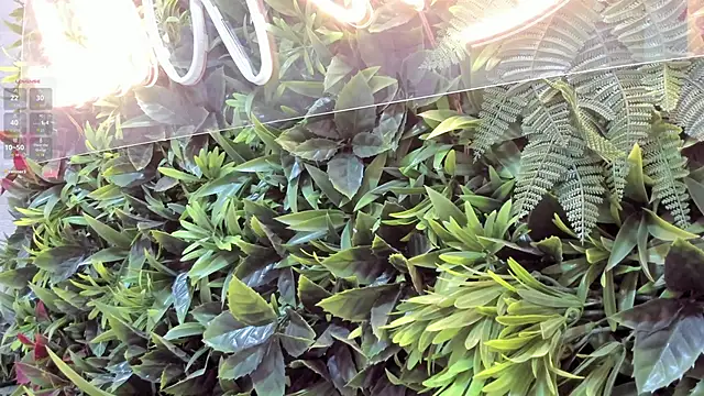 Gia_ricci_'s cam snapshot