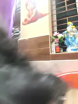 siritelugubutterfly's cam snapshot