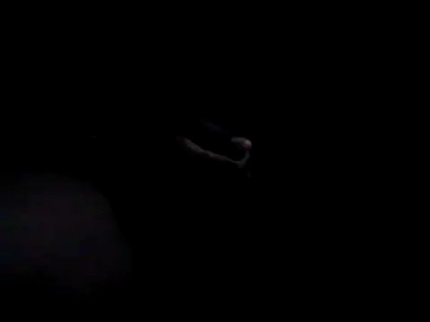 bogbosdick's web cam