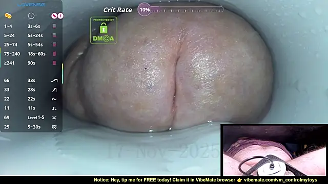 controlmytoys's cam snapshot