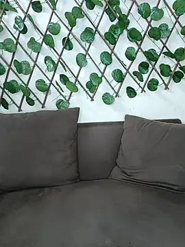 Bold-Cat live sex cam