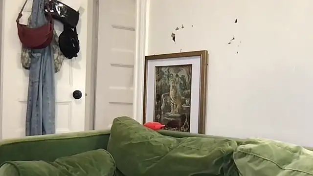 stacywithu live sex cam