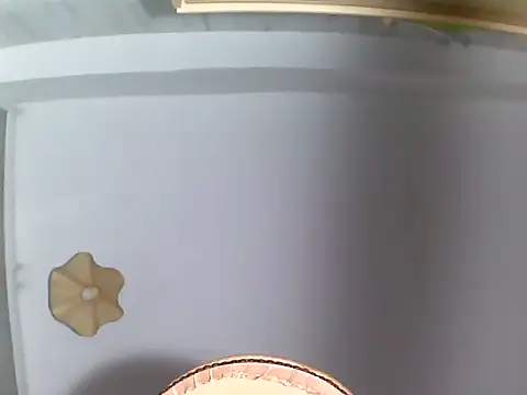 culalimer live sex cam