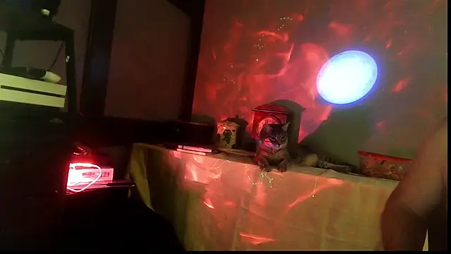 SexWorkerX's cam snapshot