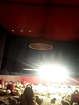 Najirhossain72's web cam