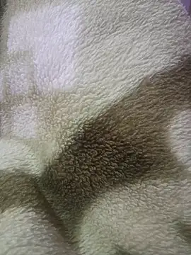 Alex_VO's cam snapshot