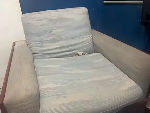 asian-doll live sex cam