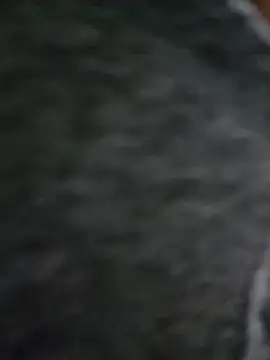 BrendaSun live sex cam