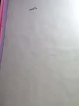 laxmipriya143's cam snapshot