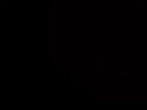 Aulonocara86's cam snapshot