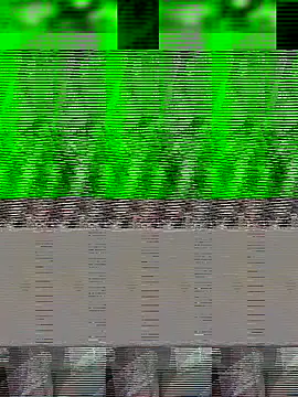 Sangita_k's cam snapshot