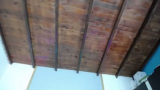 Dante_Ferrara2025's cam snapshot