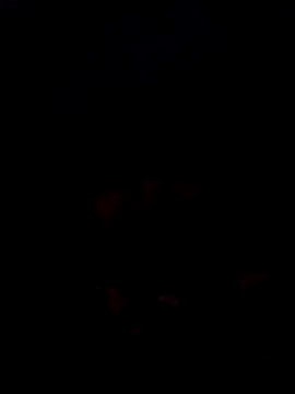 jacka_305's cam snapshot